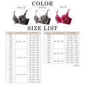 【限定商品】Divage ブラジャー