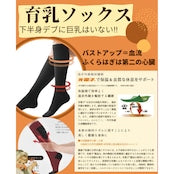 下半身デブに巨乳はいない！血流アップに育乳ソックス
