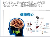 成長ホルモン分泌UPジェル　ソマダーム
