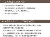 レイズ Wアイラッシュ