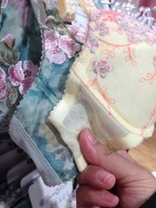 地方出張3日間集中育乳コース